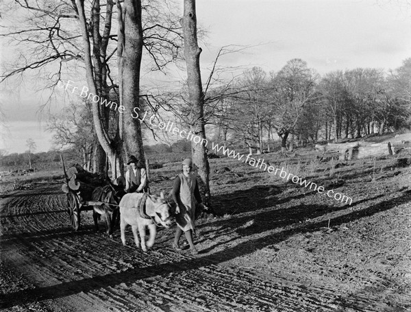 PAIR OF DONKEYS PULLING LOG CART